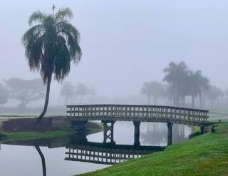 Bridgepointe - Residential