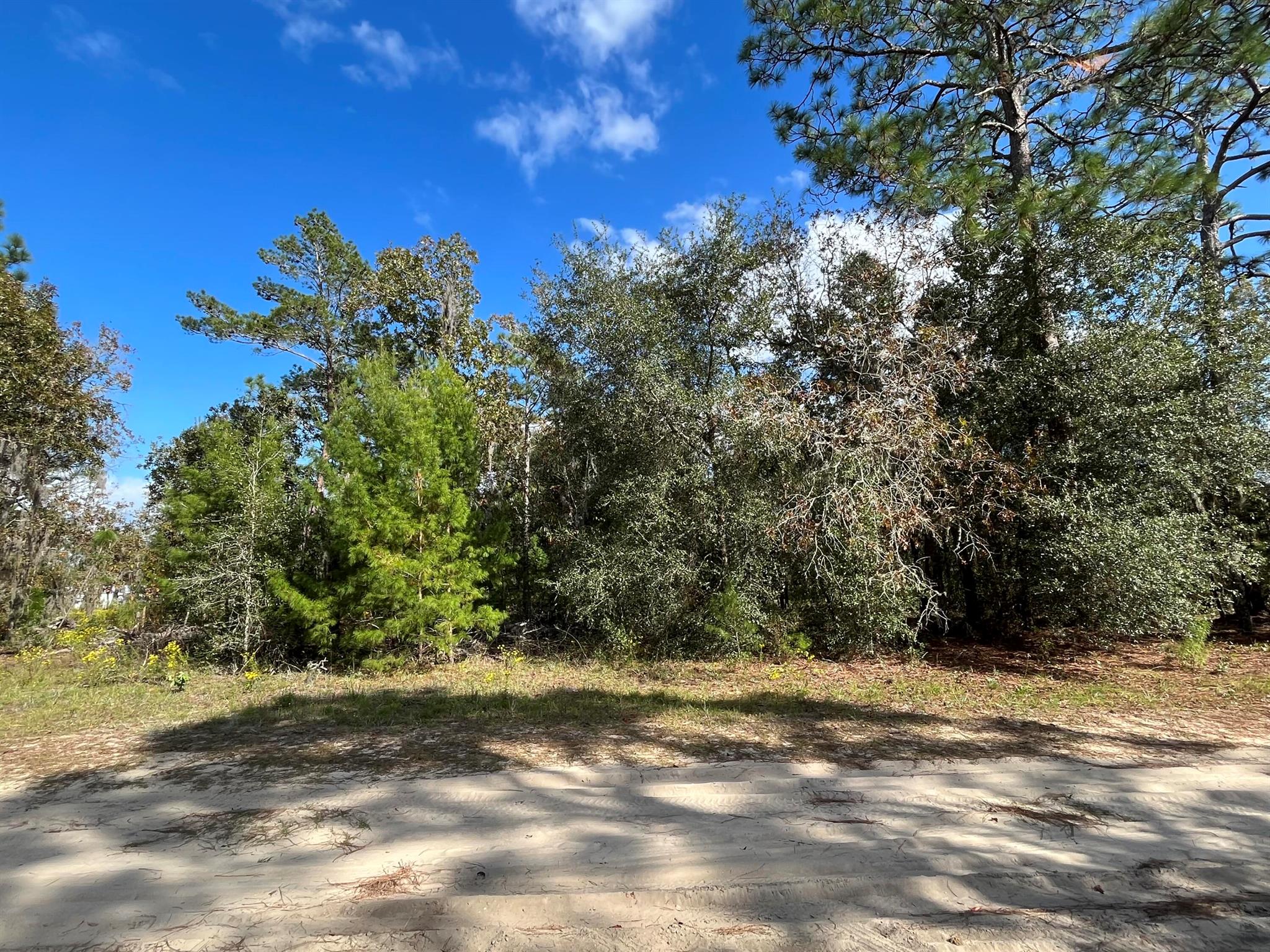 Don't Miss out on this High and dry OVERSIZED 0.59 ACRE CORNER LOT. Looking to purchase your dream property in Florida, look no further. This lot is listed below market value! Buying Land in Florida is a solid investment for your future, build your dream home, vacation home, rental investment or let the land build value as a great long-term investment to resell for a future profit. Owner Financing Available