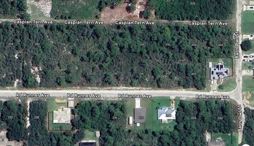 Great lot in up and coming Sebring area, close to shopping, malls and boat ramp on Lake Jackson