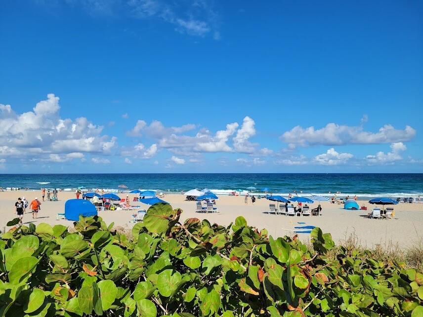 COASTAL TOWERS CONDO - Residential Lease