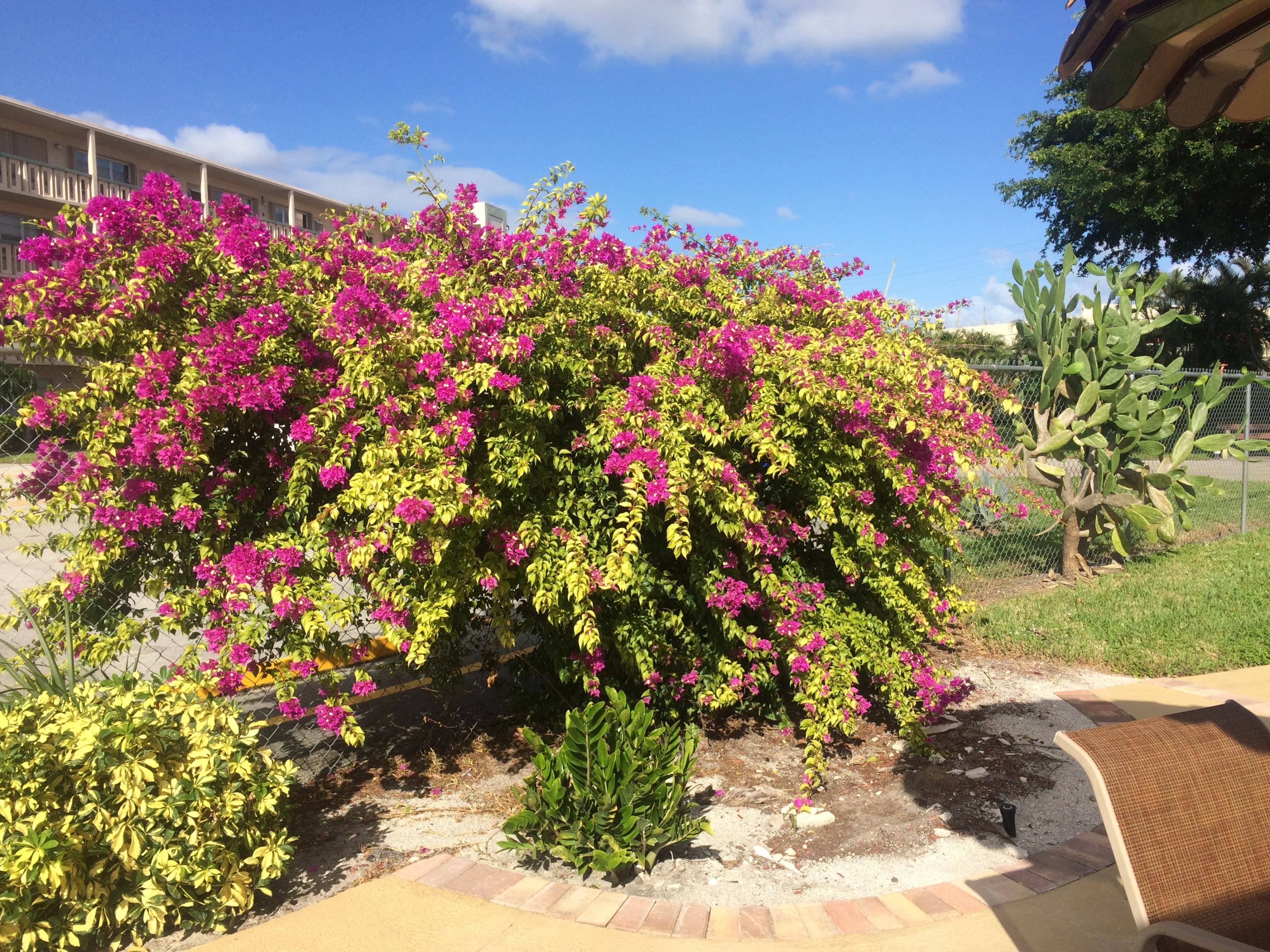 SOUTHAMPTON CONDO - Residential