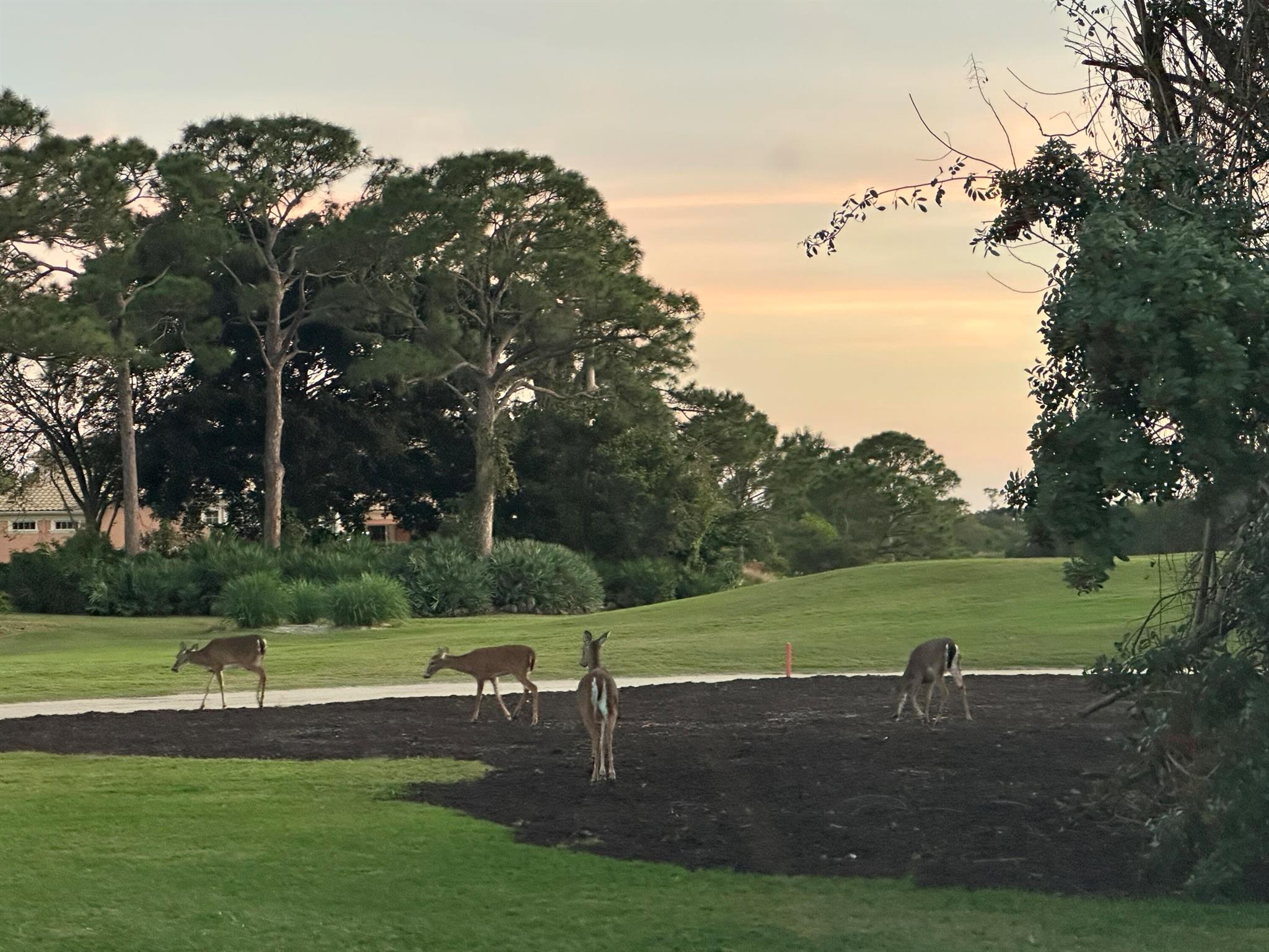 COBBLESTONE - Residential Lease