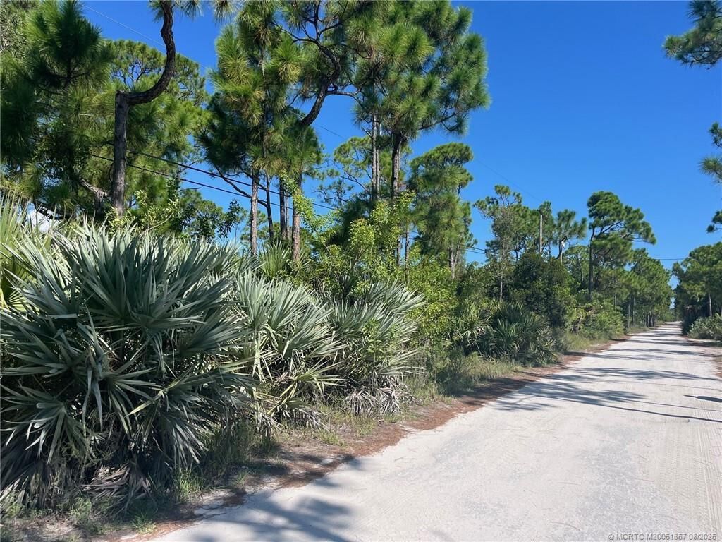 Photo of X Tree Top Trail, Port Saint Lucie, FL 34951 (MLS # R11127582)