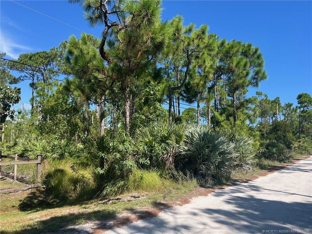 Photo of X Tree Top Trail, Port Saint Lucie, FL 34951 (MLS # R11127582)