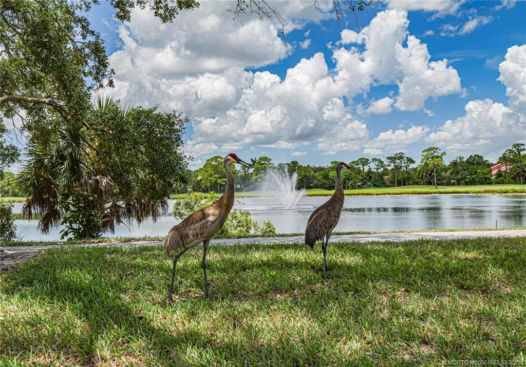 SUMMERFIELD - Residential