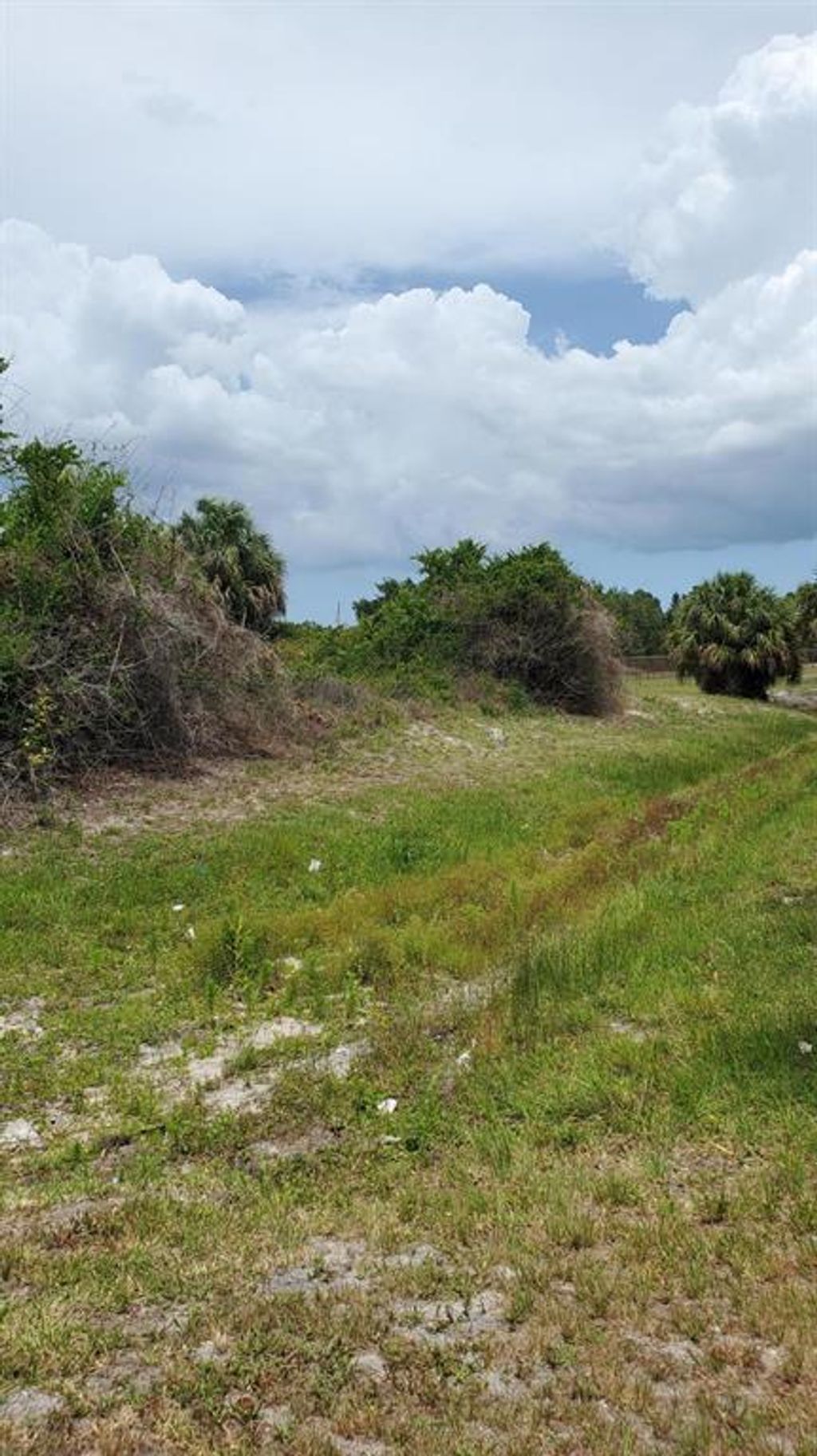 Photo of 3597 SW San Benito Street, Port Saint Lucie, FL 34953 (MLS # R10715545)
