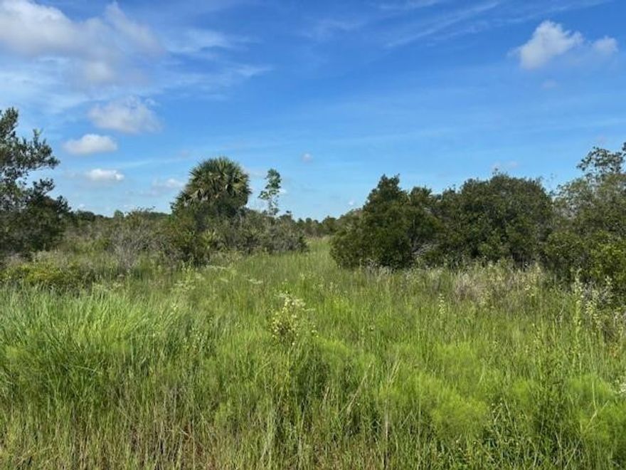 6 lots combined in Viking Estates. Close to the Kissimmee Prairie State Park. Bring your 4 -wheelers. This property is not only ideal for recreational uses such has camping, hunting and shooting, but it’s agricultural as well.Owner finance available with only $10k down