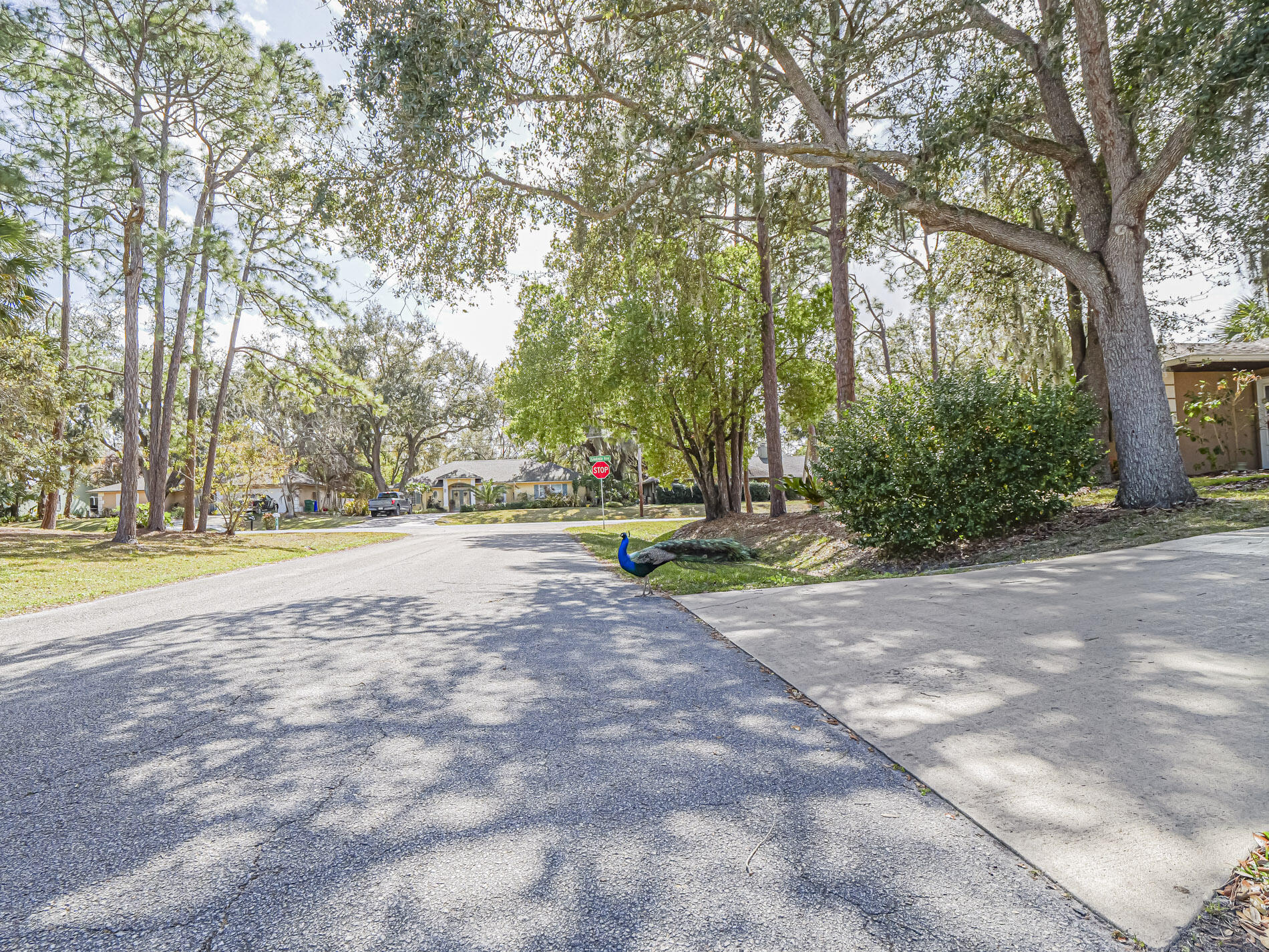 SEBASTIAN HIGHLANDS UNIT 13 - Residential