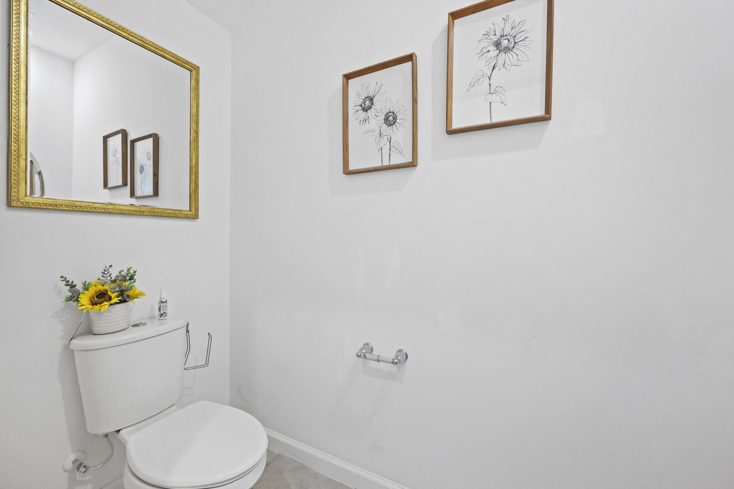 CATALINA TOWNHOMES PLAT - Residential