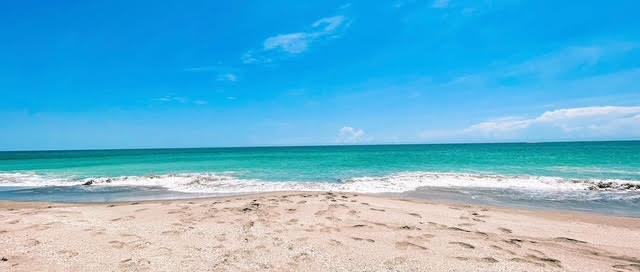 Ocean Village - Residential