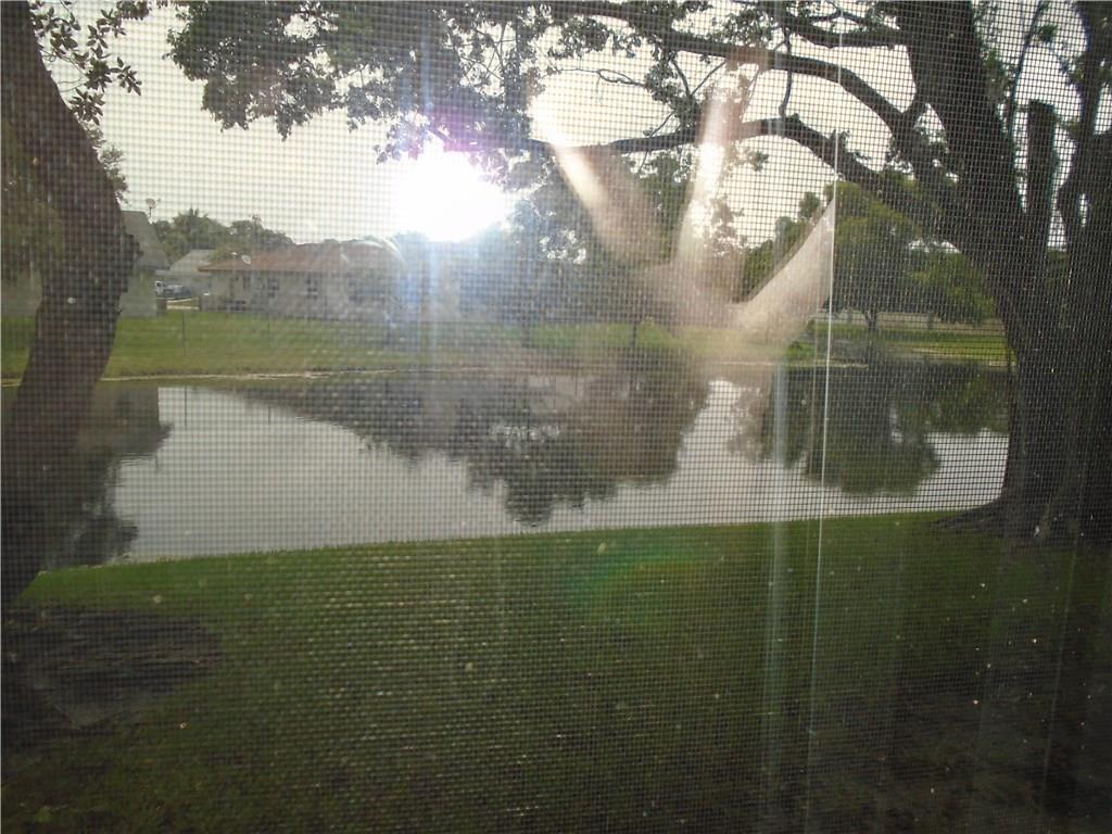 POND APPLE 3 - Residential