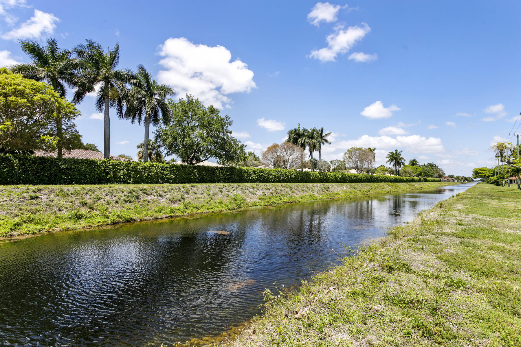 PALM CHASE CONDO - Residential