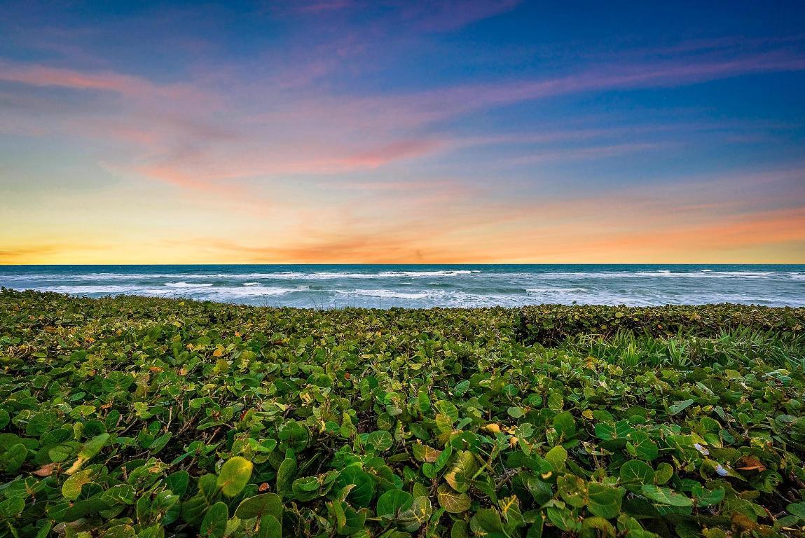 Seven Hundred Ocean Drive - Residential