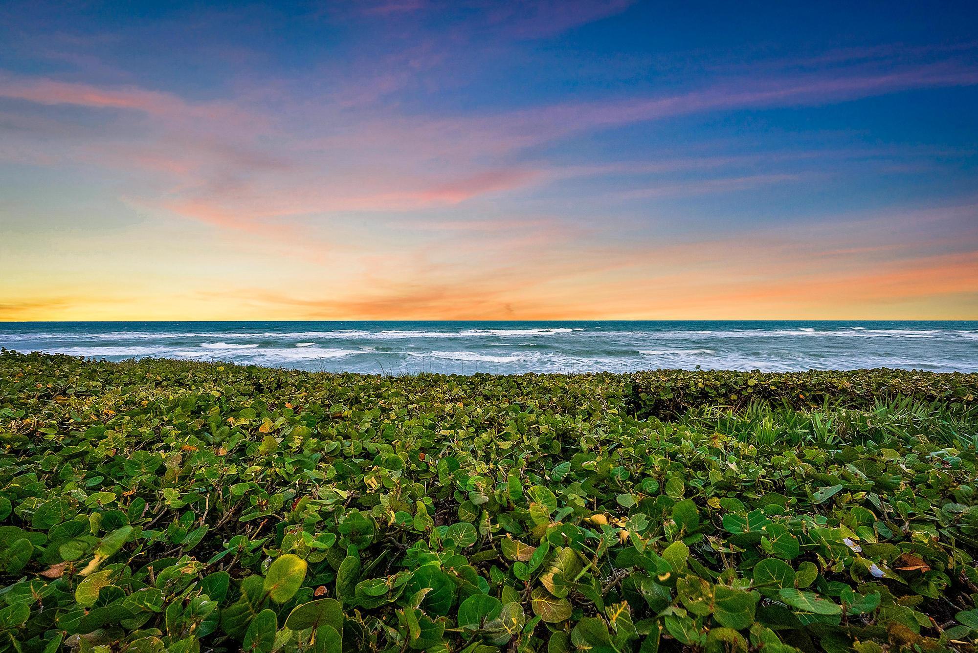 Seven Hundred Ocean Drive - Residential