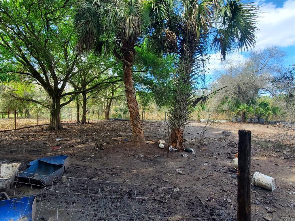 Rare find! 1.25 acres of fenced land with a pond. Electric pole on street. Adjacent to paved road 192nd (P-Vine). Build your dream home in a peaceful and quiet location near Kissimmee Prairie Preserve State Park or bring you mobile home!!! Well water with a pump available. Approximate measurements, survey required for exact details. Don't miss out on this unique prairie opportunity! No HOA.