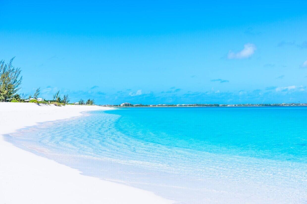 DISCOVER AN UNPARALLELED OPPORTUNITY TO OWN A PIECE OF PARADISE ON THE WORLD-FAMOUS GRACE BAY BEACH LOCATED ON PROVIDENCIALES, TURKS AND CAICOS. SPANNING AN IMPRESSIVE 4.89ACRES OF PRISTINE BEACHFRONT LAND WITH 266 FEET OF PRIVATE BEACH ACCESS. THIS EXTRAORDINARY PROPERTY PRESENTS A RARE INVESTMENT OPPORTUNITY. WHETHER YOU ENVISION CONSTRUCTING A MAJESTIC PRIVATE CHATEAU OR CAPITALIZING ON THE SITE'S APPROVED 244-UNIT COMMERCIAL ZONING POTENTIAL, THIS PROPERTY OFFERS ENDLESS OPTIONS FORYOUR CUSTOMIZED DESIGN PLAN.