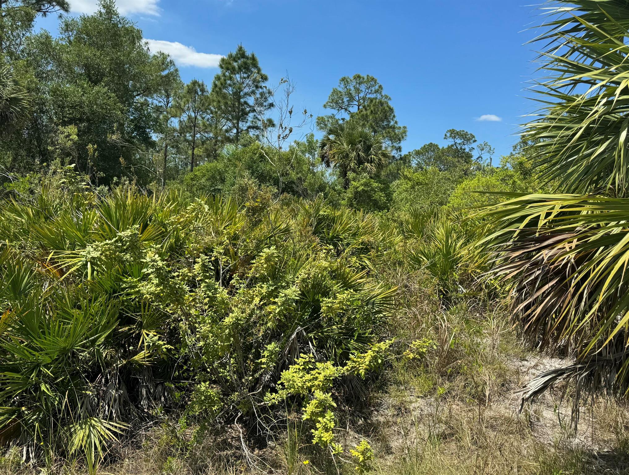 A vacant lot with a recor - Land