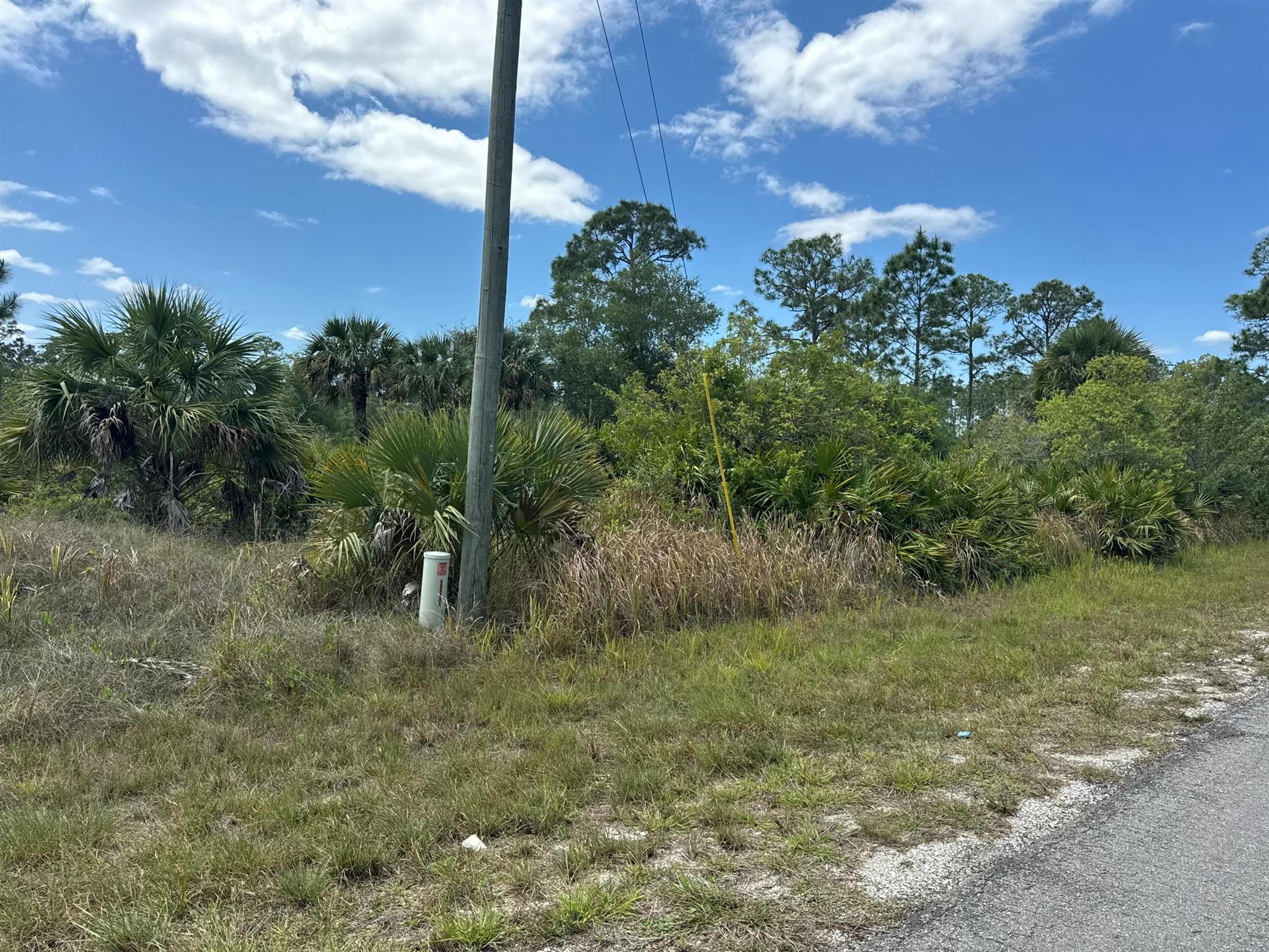 A vacant lot with a recor - Land