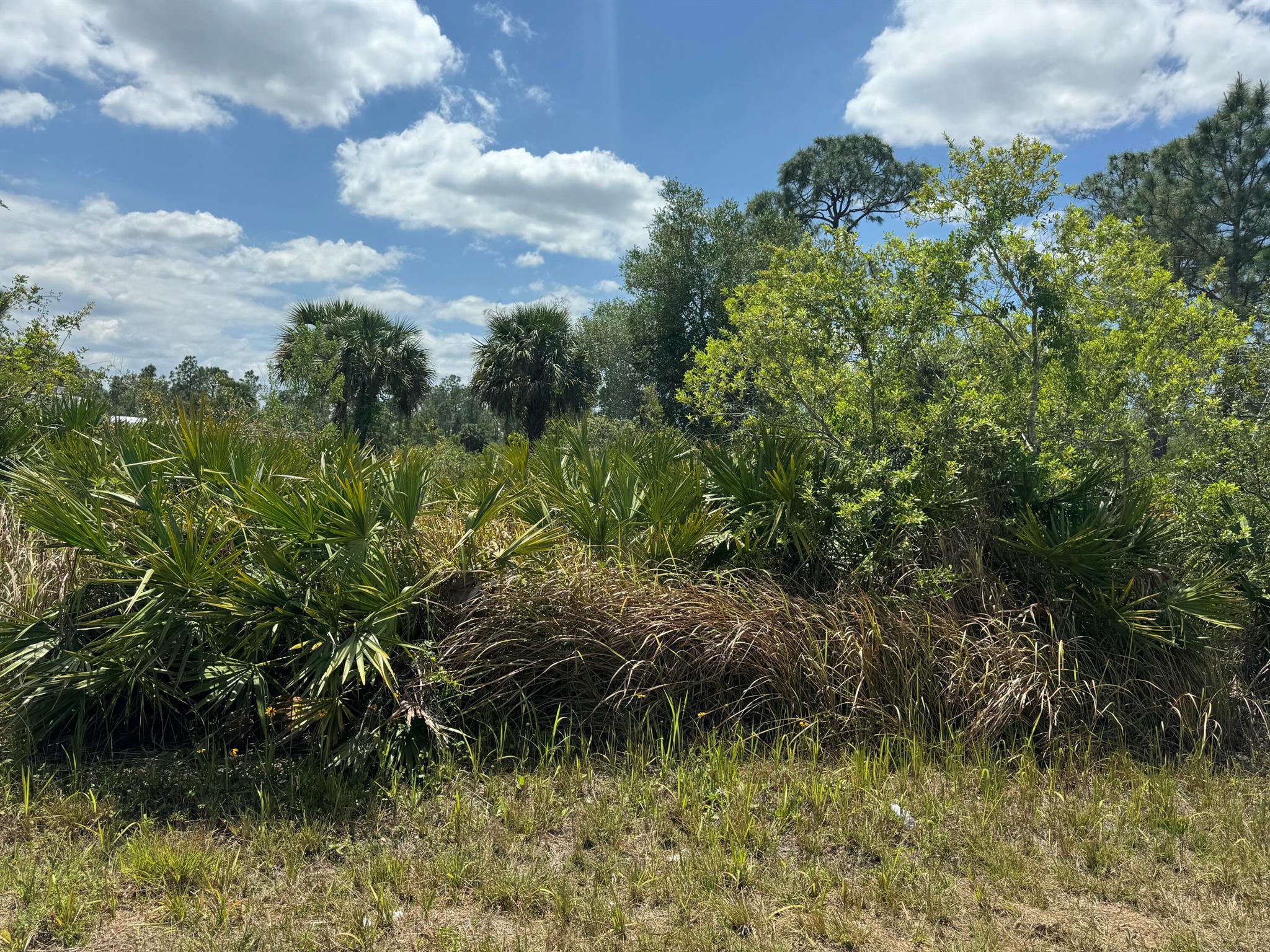 A vacant lot with a recor - Land