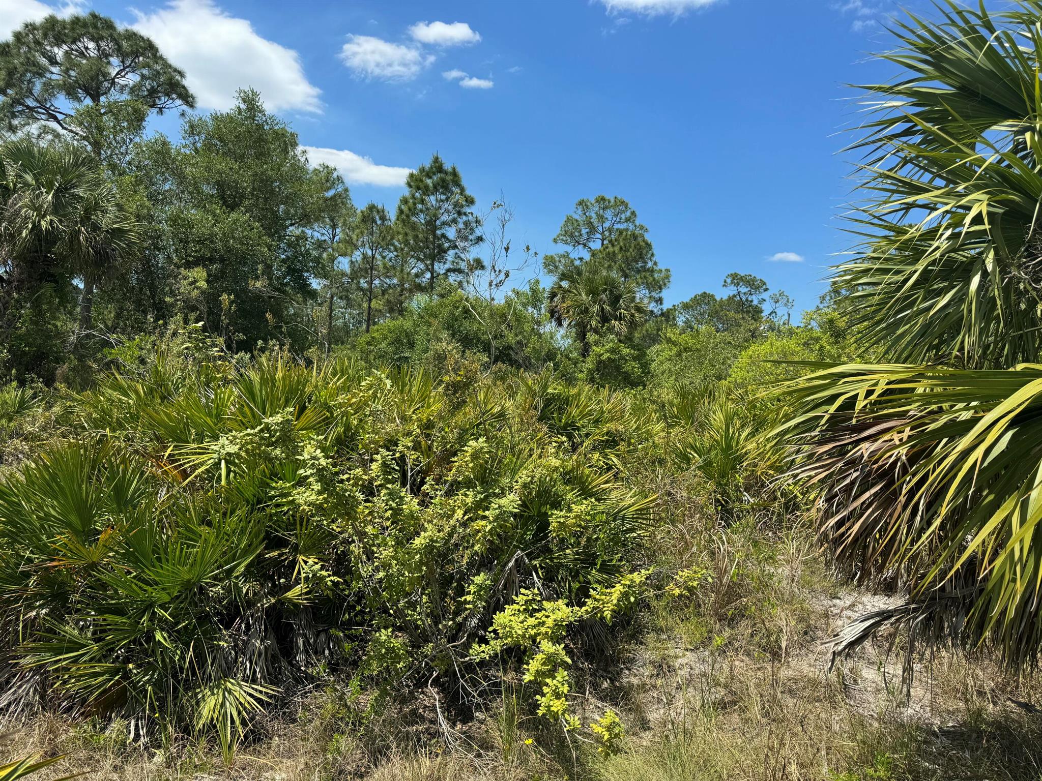 A vacant lot with a recor - Land