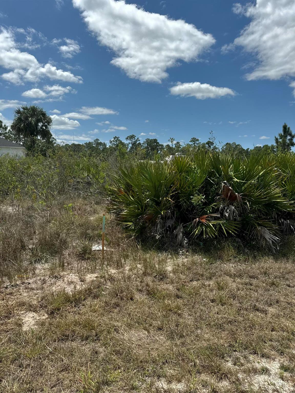 A vacant lot with a recor - Land
