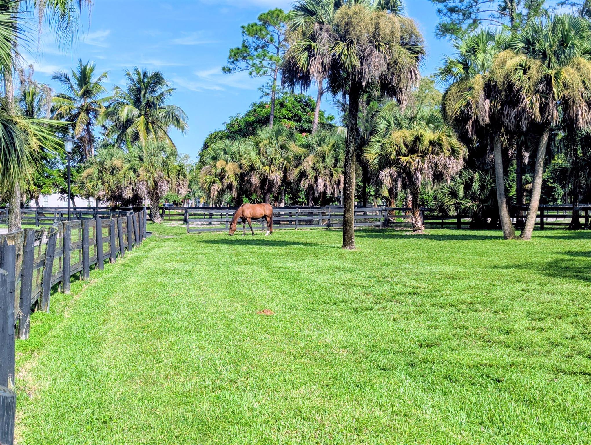 DEER RUN - Residential
