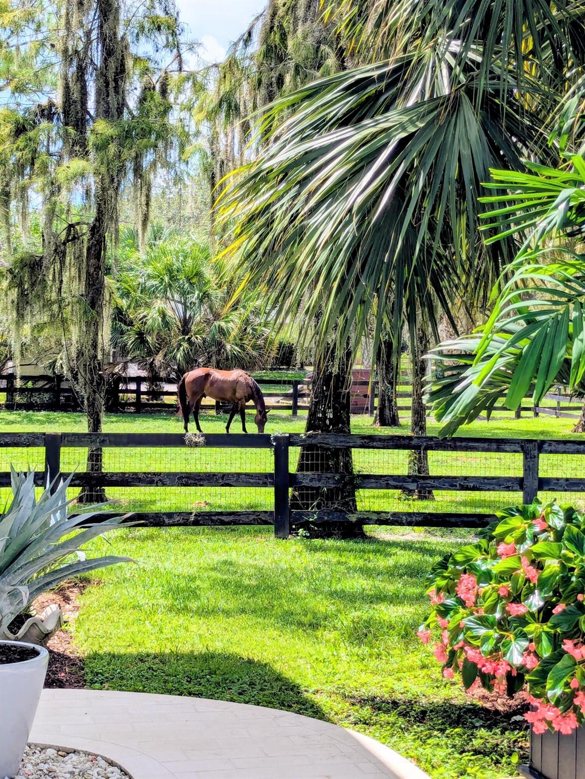 DEER RUN - Residential