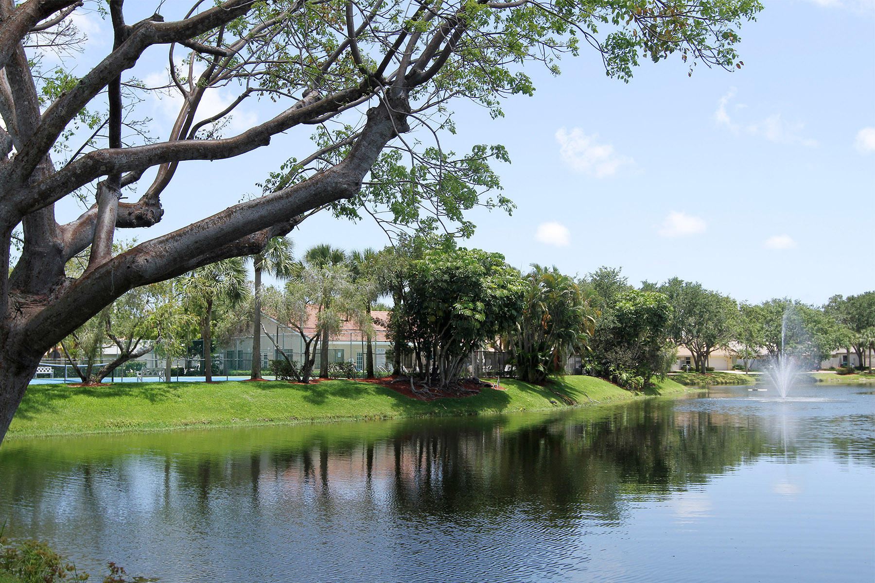 CITRUS GLEN - Residential