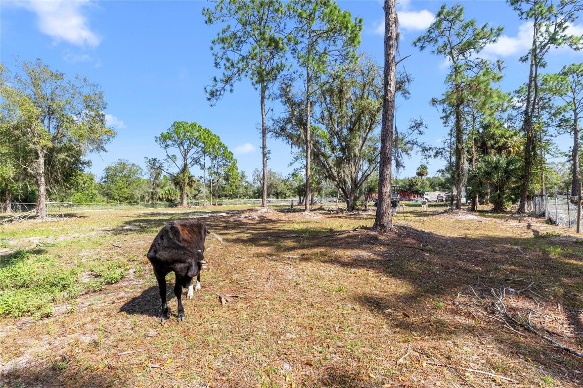 Montura Ranch Estates - Residential