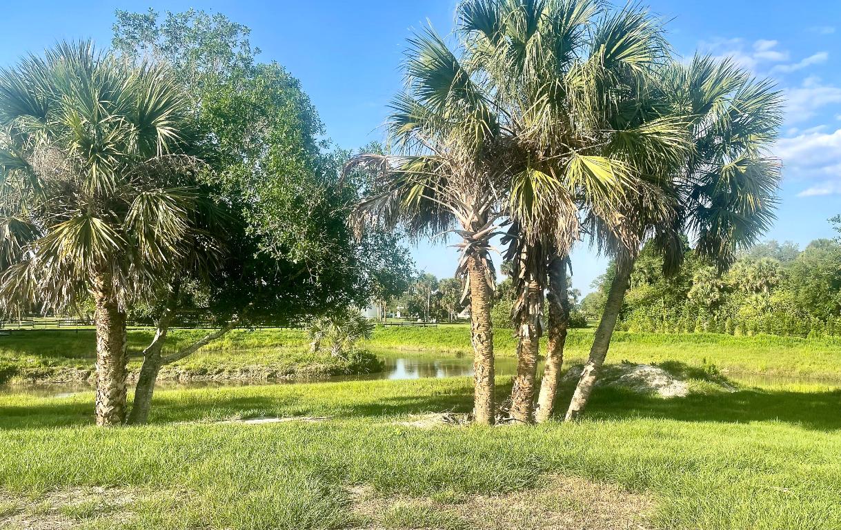 BRIDLEWOOD RANCHES - Land