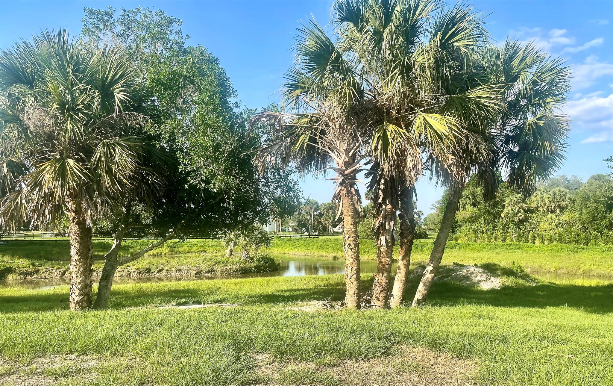 BRIDLEWOOD RANCHES - Land