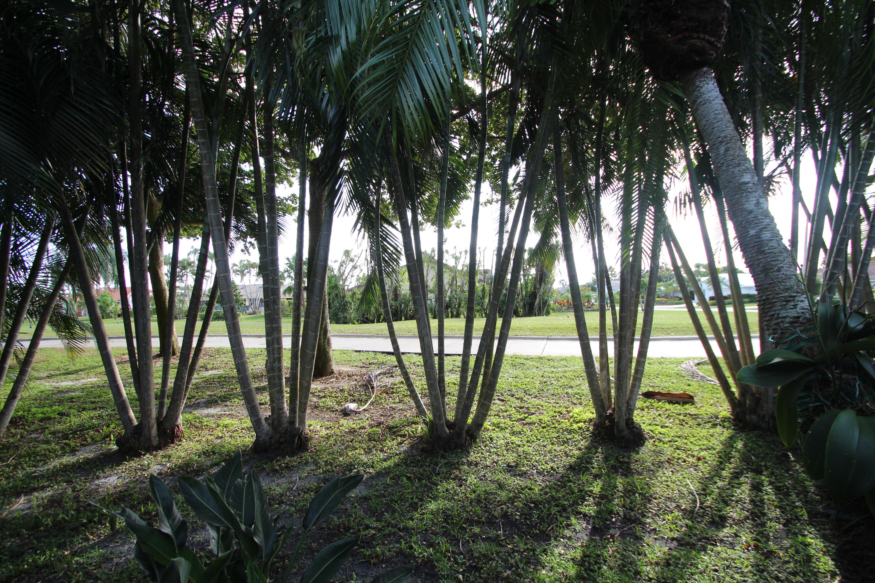 INDIAN SPRING - Residential