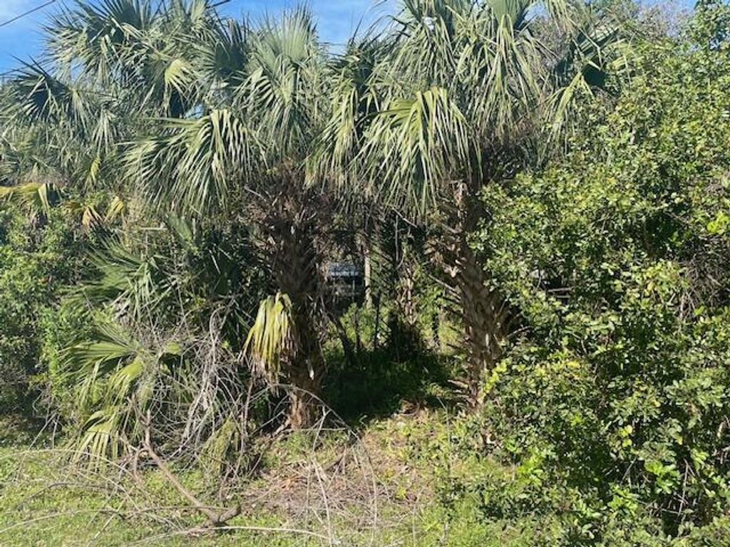 Photo of 5600 Tangelo Drive, Fort Pierce, FL 34982 (MLS # R10967704)