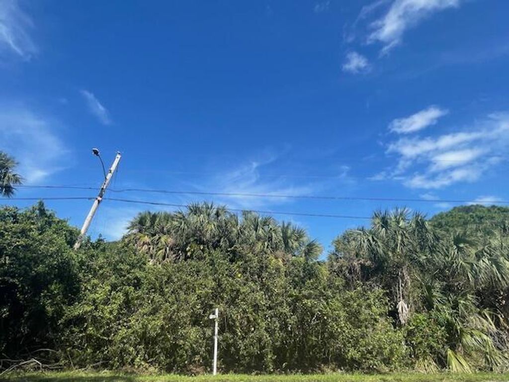 Photo of 5600 Tangelo Drive, Fort Pierce, FL 34982 (MLS # R10967704)