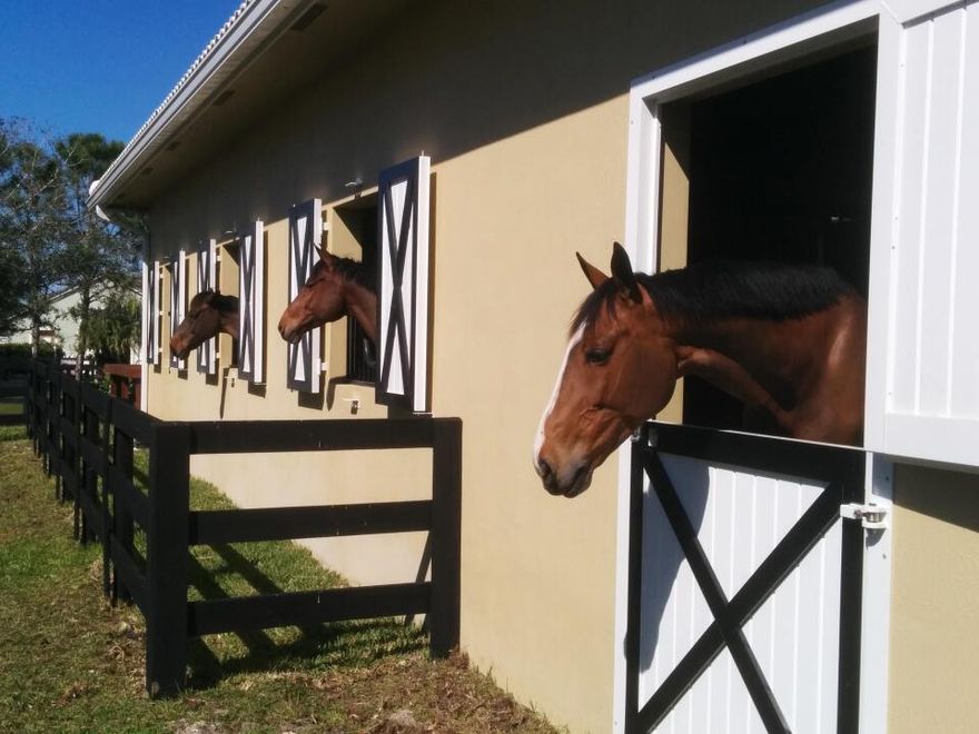 Beautiful new 10 stall barn for rent in Wellington FL, short hack to WEF, huge GGT ring, full set of jumps, direct bridal trail access, tractor with drag and bucket loader, large padded stalls, fly spray, washer & dryer, fans, full shutters, barn doors, and much more.  Seasonal lease.