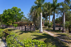 LAS PALMAS RANCH - Residential