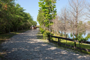 LAS PALMAS RANCH - Residential