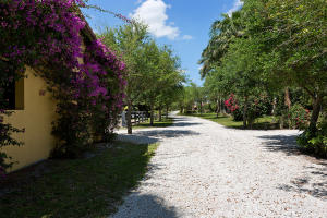 LAS PALMAS RANCH - Residential