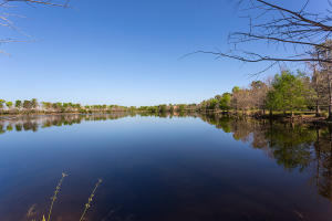 LAS PALMAS RANCH - Residential