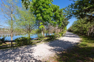 LAS PALMAS RANCH - Residential