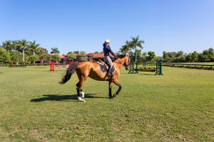 LAS PALMAS RANCH - Residential