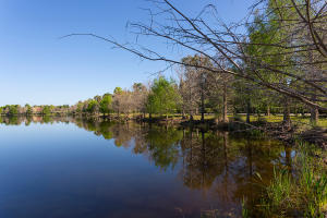 LAS PALMAS RANCH - Residential
