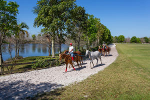 LAS PALMAS RANCH - Residential