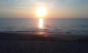 PAGET HOUSE CONDO - Residential Lease