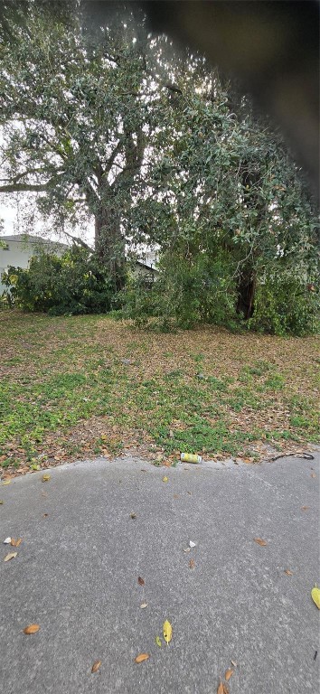 Roosevelt Park - Land