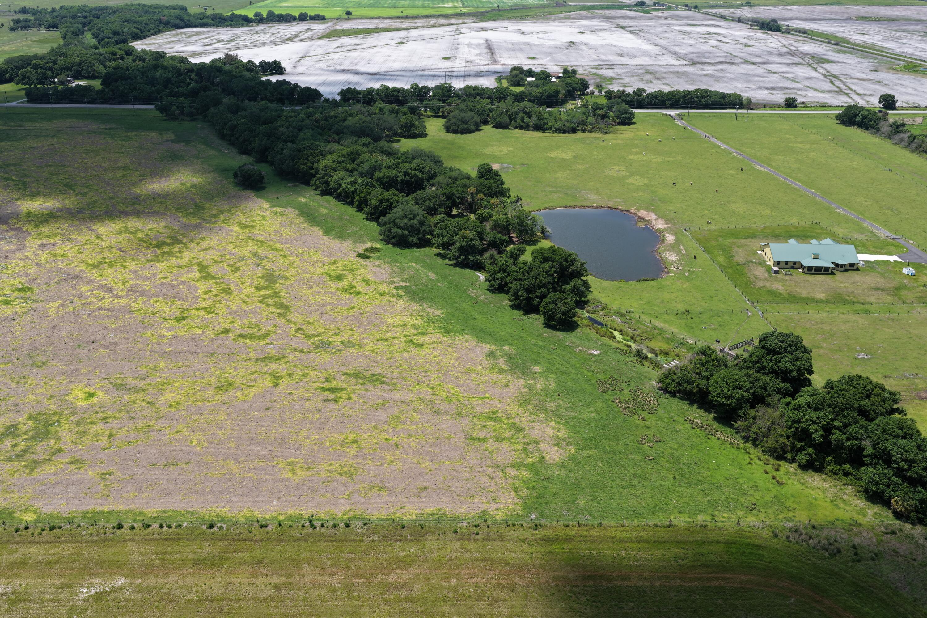 Okeechobee - Land