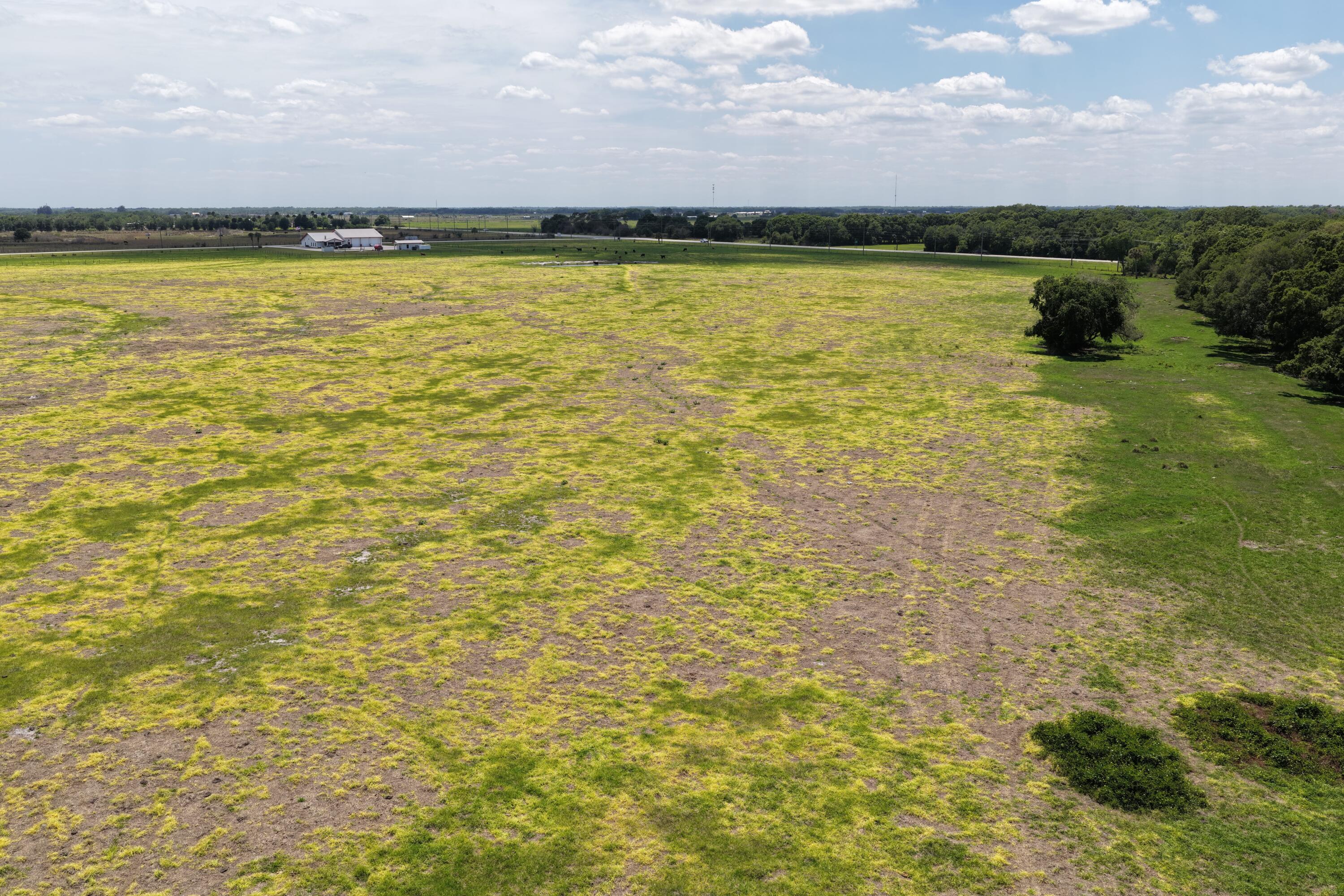 Okeechobee - Land