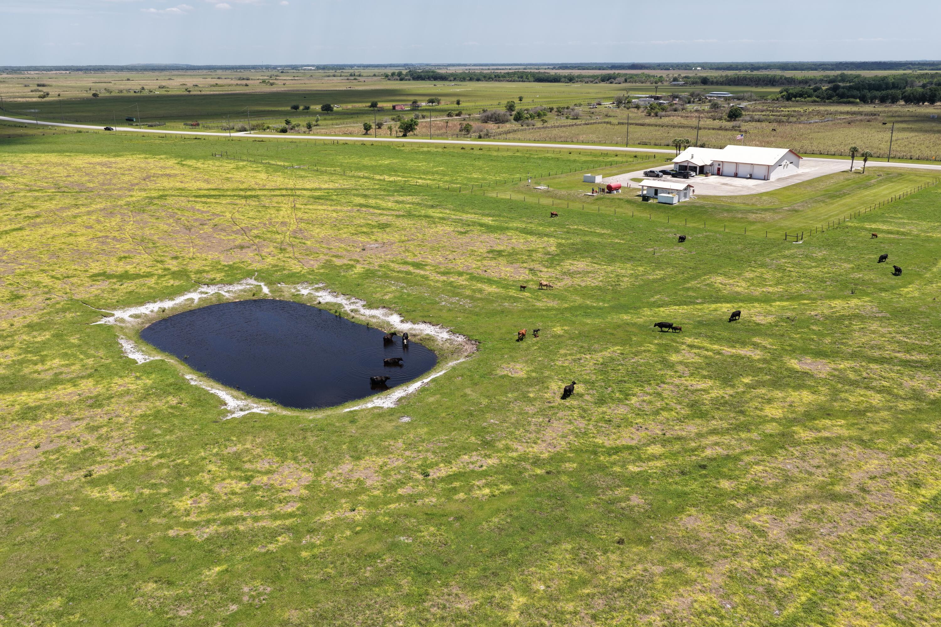 Okeechobee - Land