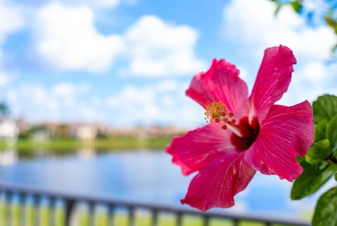 A home in Boca Raton