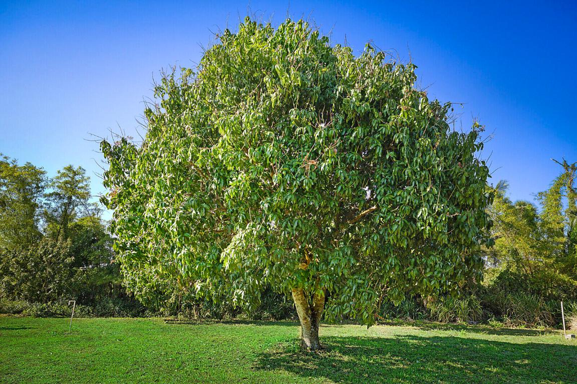 LOXAHATCHEE GROVES - Land